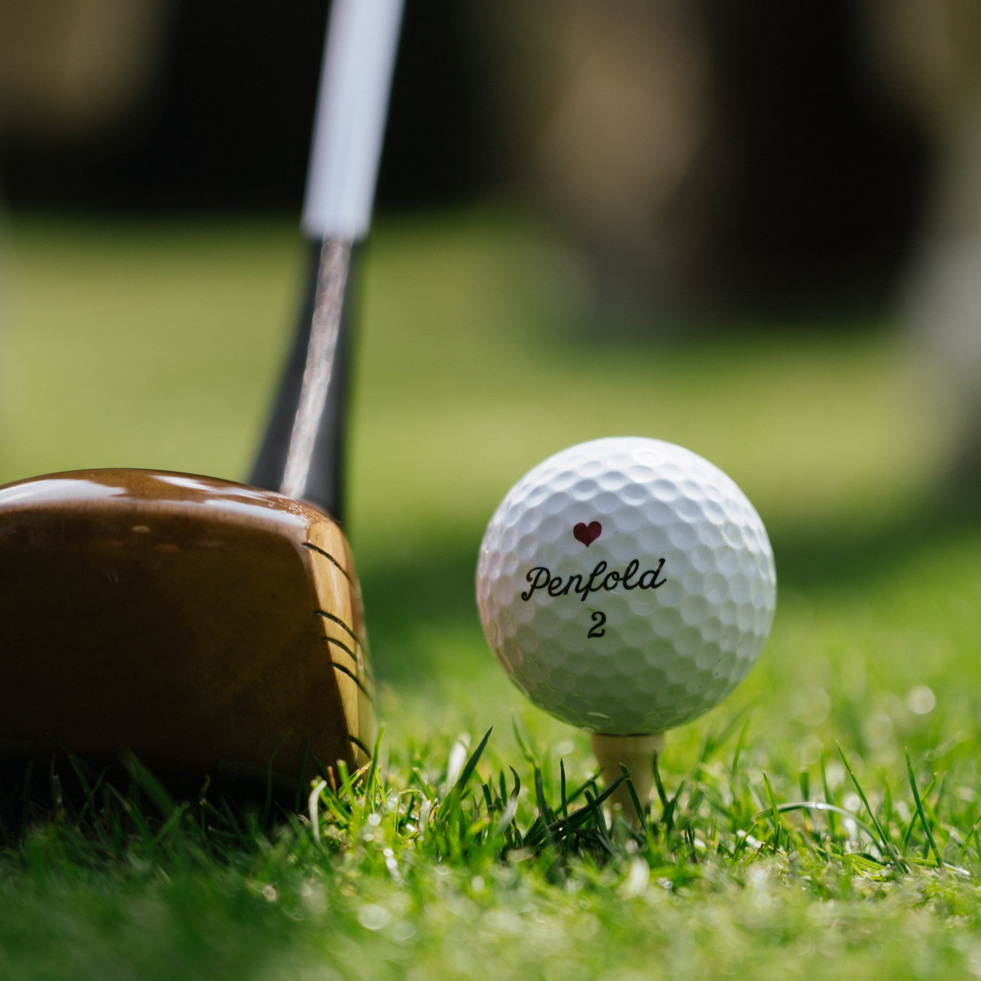 ぺンフオ-ルドゴルフボール Penfold Heart – PENFOLD GOLF